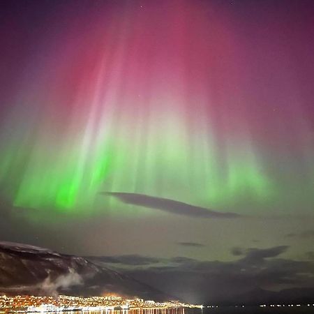 Rom Sentralt I Tromso 아파트 외부 사진
