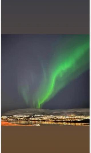 Rom Sentralt I Tromso 아파트 외부 사진