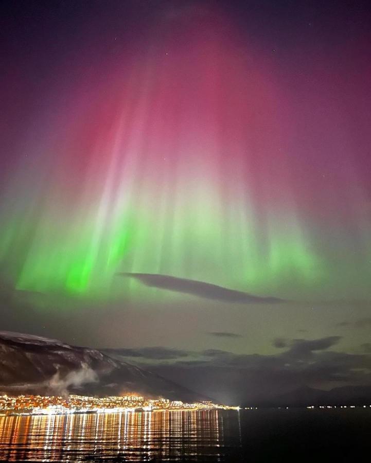 Rom Sentralt I Tromso 아파트 외부 사진