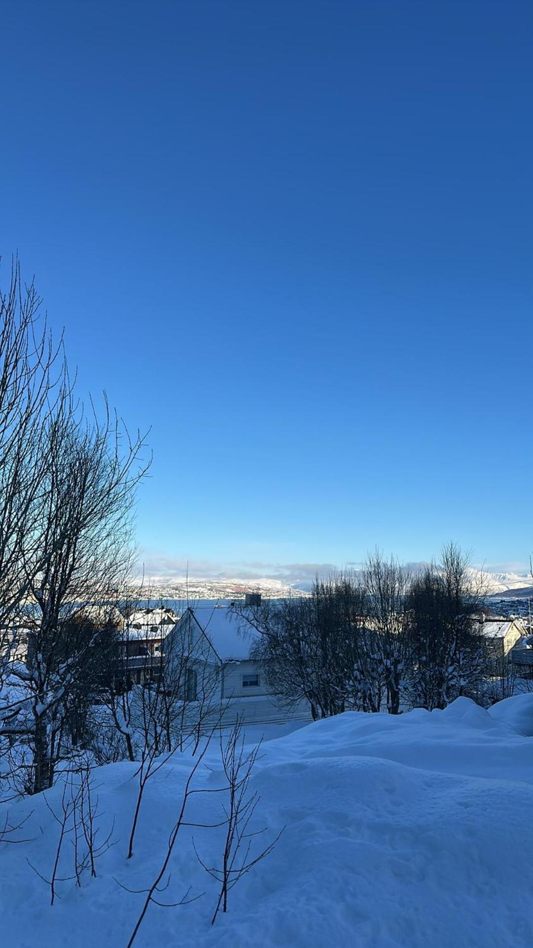 Rom Sentralt I Tromso 아파트 외부 사진
